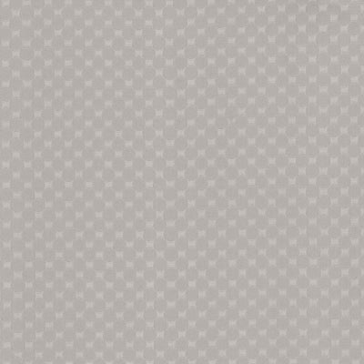 KASMIR FABRICS-BUBBLE BATH - PLATINUM