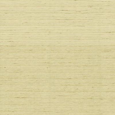 KASMIR FABRICS-BURKE - COTTON