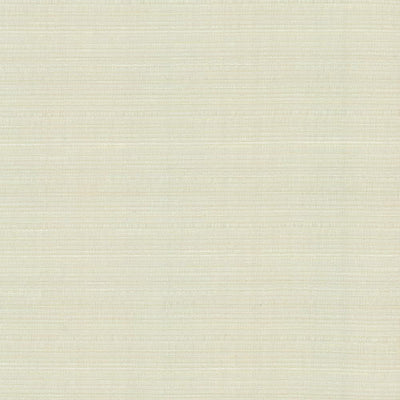 KASMIR FABRICS-BURKE - WINTER