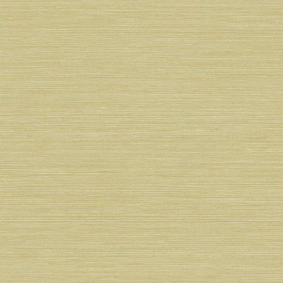 SEABROOK WALLPAPER-COASTAL HEMP-ALOE -BV30454