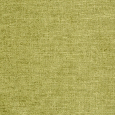 JF FABRICS-CALEB-74J7031