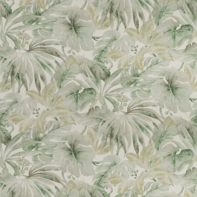 KRAVET BASICS - CARLES-23