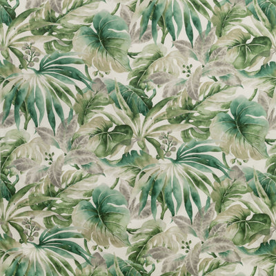 KRAVET BASICS - CARLES-3