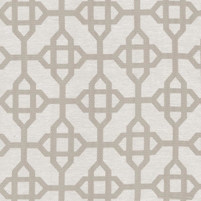 KASMIR FABRICS-CAVETTO - SILVER