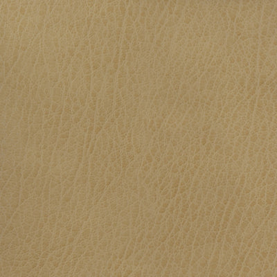 KRAVET BASICS - CELINE-106