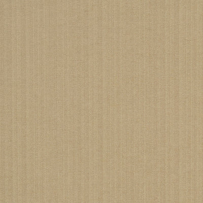 JF FABRICS-CHAMPION-11J5241