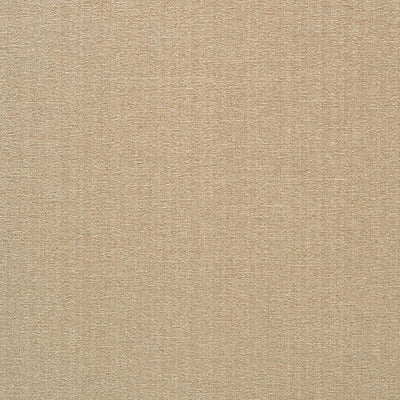 JF FABRICS-CHAMPION-11J6391