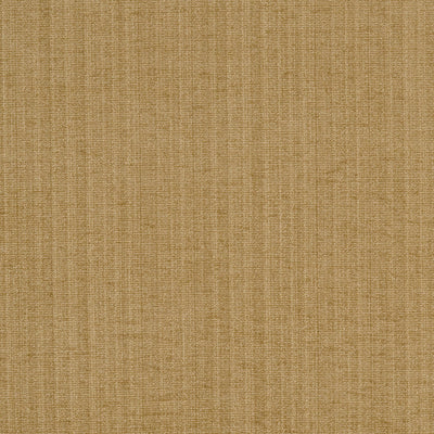 JF FABRICS-CHAMPION-16J5241
