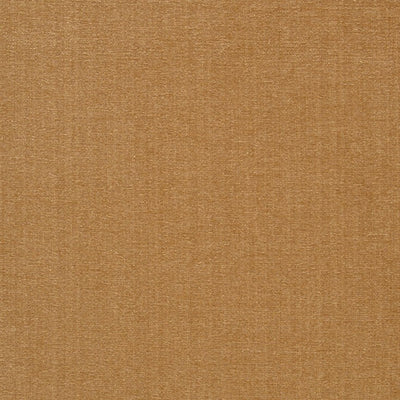 JF FABRICS-CHAMPION-16J6391