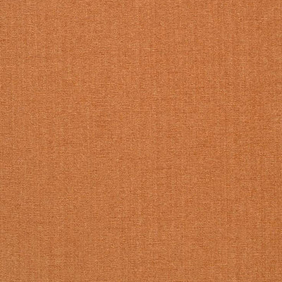 JF FABRICS-CHAMPION-24J6391