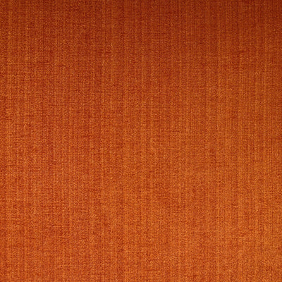 JF FABRICS-CHAMPION-25J6391