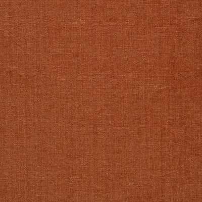 JF FABRICS-CHAMPION-27J6391