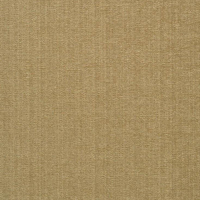 JF FABRICS-CHAMPION-70J6391