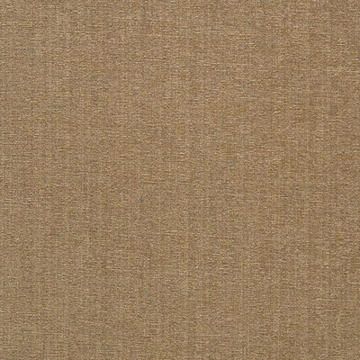 JF FABRICS-CHAMPION-72J6391