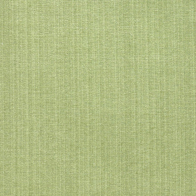 JF FABRICS-CHAMPION-73J6391