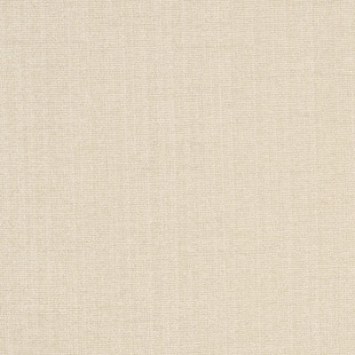 JF FABRICS-CHAMPION-91J5241
