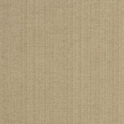 JF FABRICS-CHAMPION-92J5241