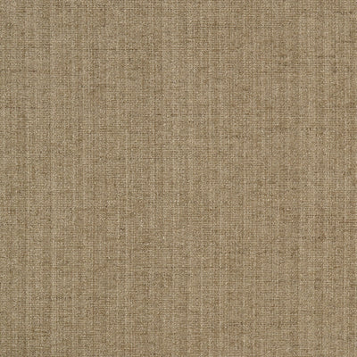 JF FABRICS-CHAMPION-94J5241