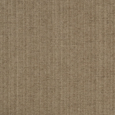 JF FABRICS-CHAMPION-95J5241