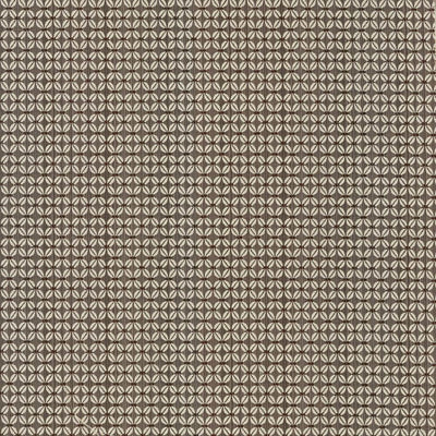 KASMIR FABRICS-COLVILLE - TAUPE