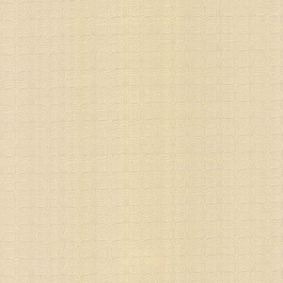 KASMIR FABRICS-CONGA LINE - ALABASTER