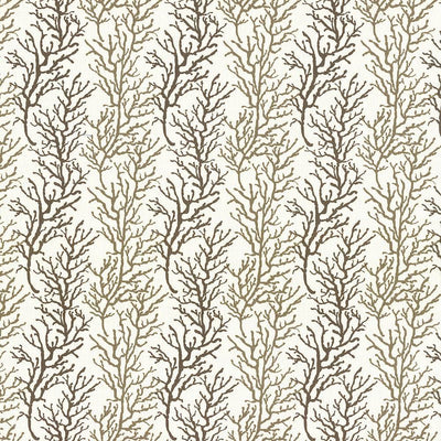 KASMIR FABRICS-CORAL CAY STRIPE - NATURAL