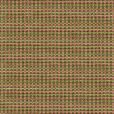 KASMIR FABRICS-CROSSWORD - KIWI