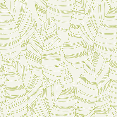 SEABROOK WALLPAPER-JUNGLE LEAVES-GREEN APPLE-DA61404