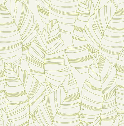 SEABROOK WALLPAPER-JUNGLE LEAVES-GREEN APPLE-DA61404