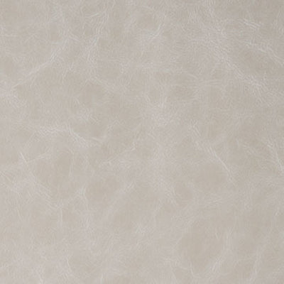 KRAVET FABRICS - DAYTRIPPER - SHALE