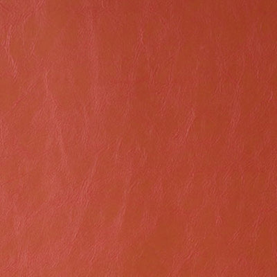 KRAVET FABRICS - DAYTRIPPER - CINNAMON