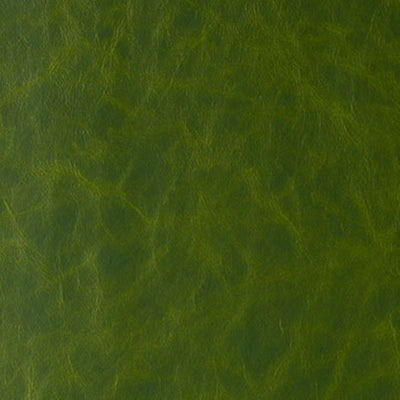 KRAVET DESIGN - RANDWICK - JUNGLE LOVE