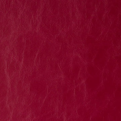 KRAVET FABRICS - DAYTRIPPER - RUBY