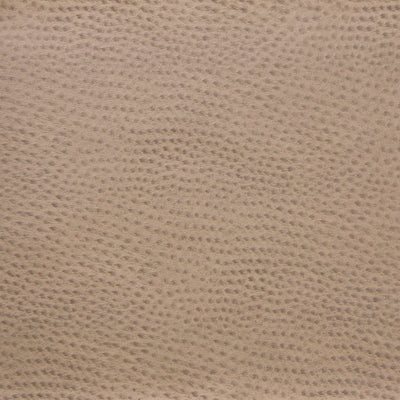 KRAVET DESIGN - DELANEY-1616