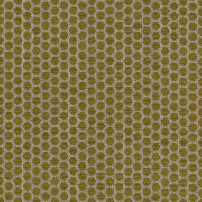 KASMIR FABRICS-DELIGHTFUL DOTS - SPROUT