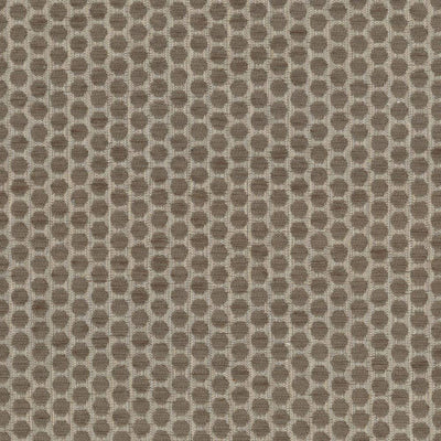 KASMIR FABRICS-DELIGHTFUL DOTS - TRUFFLE
