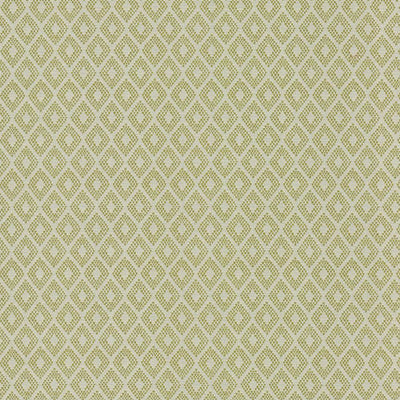 KASMIR FABRICS-DIAMOND BRITE - WASABI