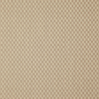 JF FABRICS-DIGITAL-93J7911