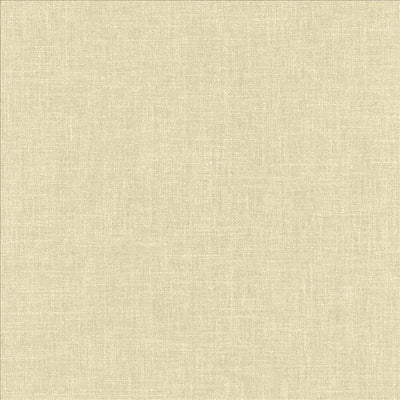 KASMIR FABRICS-DOUGAL - DEW
