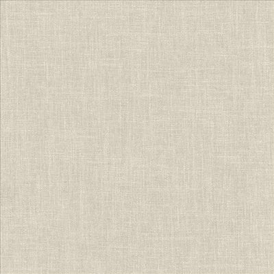 KASMIR FABRICS-DOUGAL - RAIN