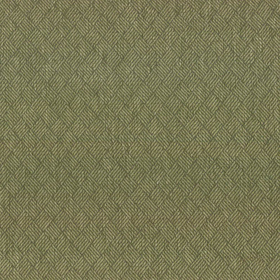 KASMIR FABRICS-DREAM WEAVER - LEAF