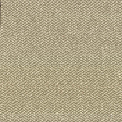 KASMIR FABRICS-DREAM WEAVER - OYSTER