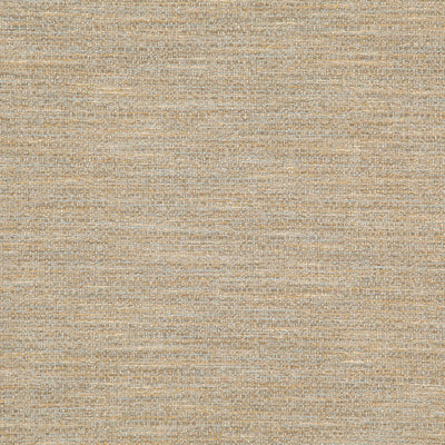 JF FABRICS-DUVAL-13J8171