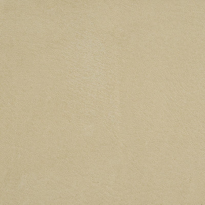 THREADS, a selection of fabrics such as velvet, damask, cotton, silk, linen and sheers.