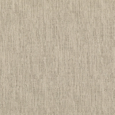 THREADS - STIPPLE - CHARCOAL