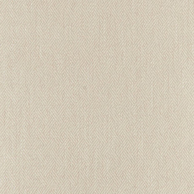 JF FABRICS-ELIJAH-30J7721