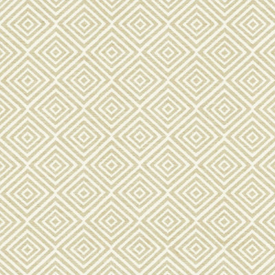 KASMIR FABRICS-ENTERPRISE 110 - LINEN