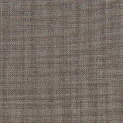 CLARKE & CLARKE - LINOSO - MINK
