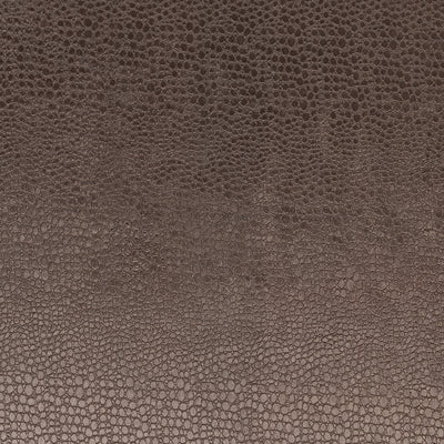 CLARKE & CLARKE - PULSE - CHARCOAL