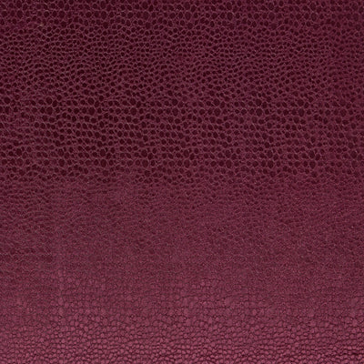 CLARKE & CLARKE - PULSE - DAMSON